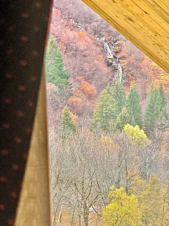 Incantevole 90Mq Sulle Piste Di Limonetto Limone Piemonte Dış mekan fotoğraf